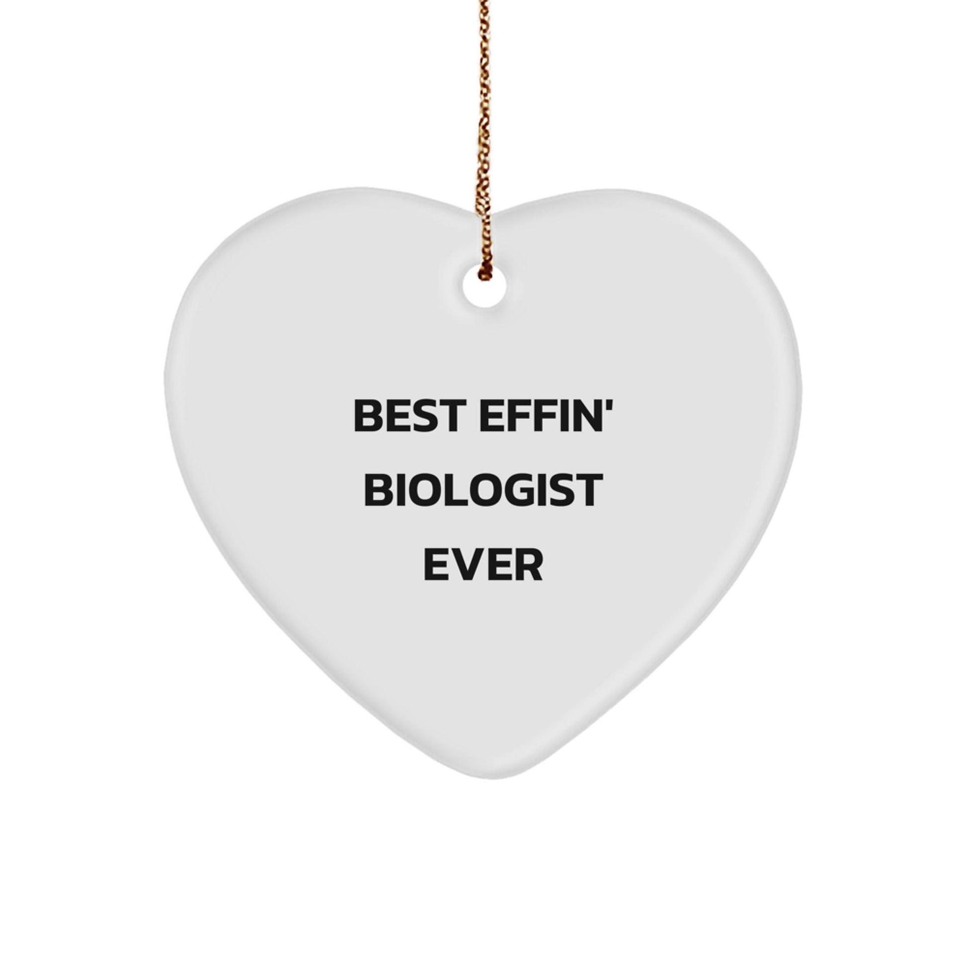 Funny Biologist Heart Ornament Gifts from Men to Biologist Friends for Christmas Unique Gifts - The Buy Boom