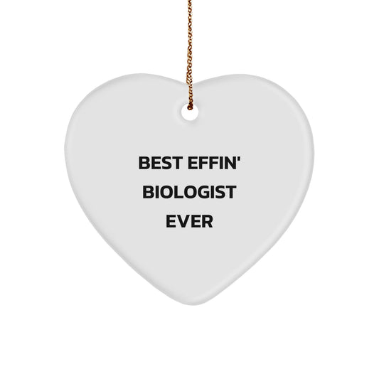Funny Biologist Heart Ornament Gifts from Men to Biologist Friends for Christmas Unique Gifts - The Buy Boom