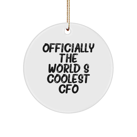 Funny CFO Gifts from Men to CFO Friends 'Officially The World's Coolest Cfo' Circle Ornament for CFO - The Buy Boom