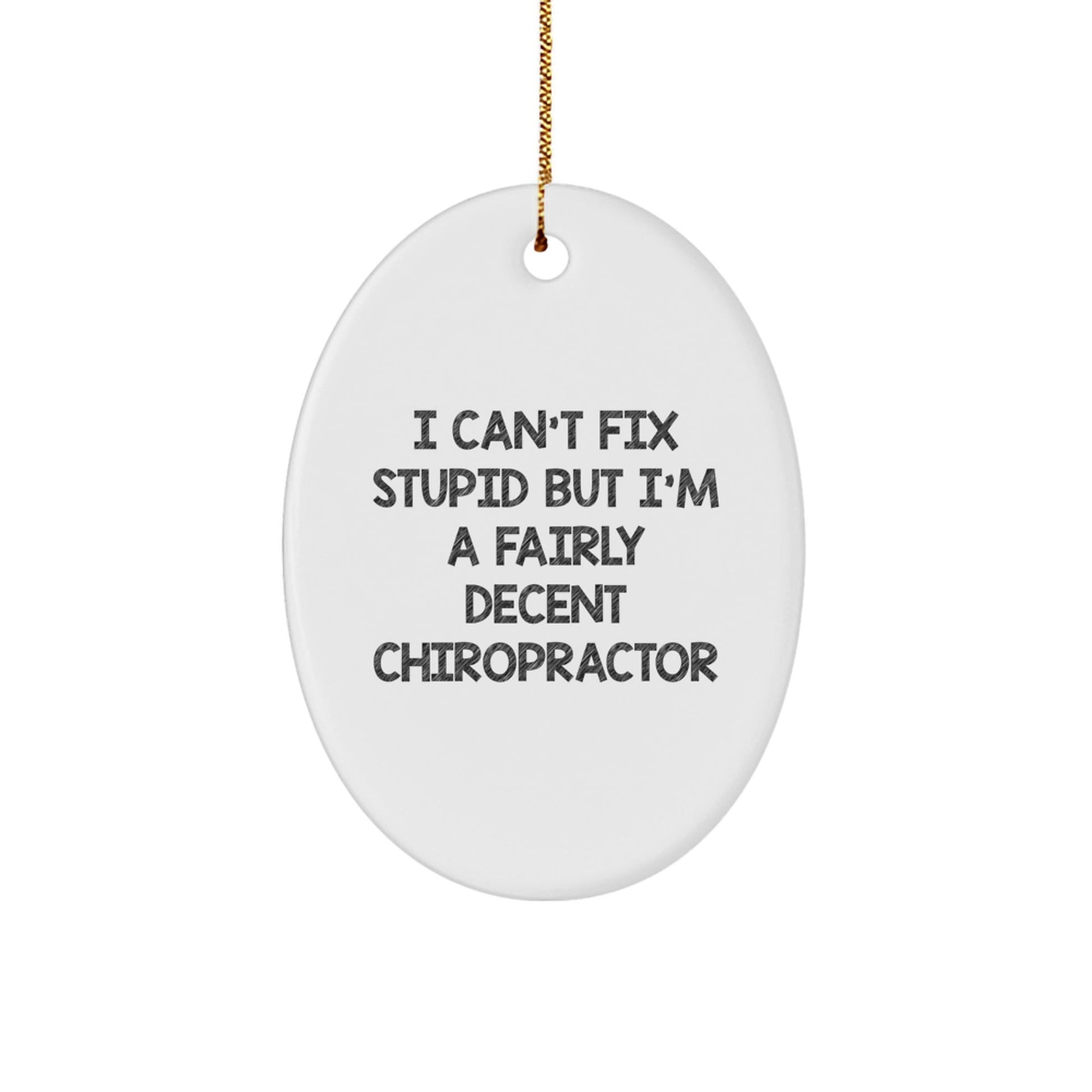 Funny Chiropractor Gifts for Men - Oval Ornament, Christmas Unique Gifts from Friends - I Can't Fix Stupid But I'm A Fairly Decent Chiropractor - The Buy Boom