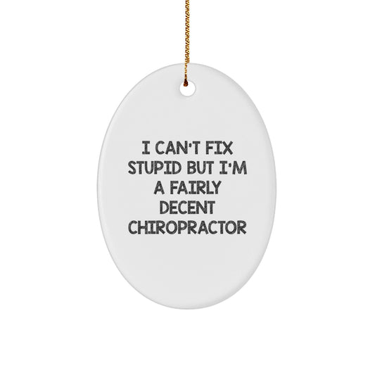 Funny Chiropractor Gifts for Men - Oval Ornament, Christmas Unique Gifts from Friends - I Can't Fix Stupid But I'm A Fairly Decent Chiropractor - The Buy Boom