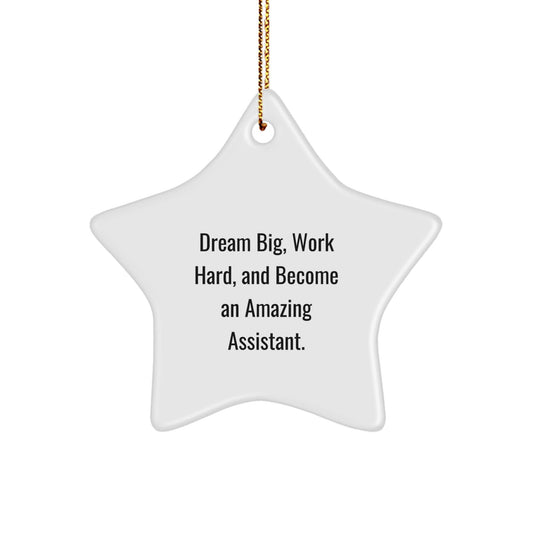 Funny Christmas Assistant Gifts, Star Ornament for Men, Dreams Big, Work Hard, Gifts from Family, Perfect for Home Office Decor - The Buy Boom