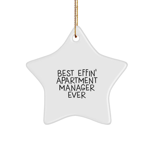 Funny Christmas Unique Gifts for Apartment Manager Star Ornament, Best Effin' Ever - The Buy Boom