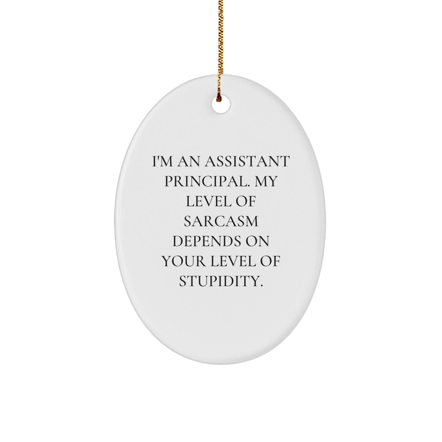 Funny Christmas Unique Gifts for Assistant Principal - 'I'm An Assistant Principal' Oval Ornament, Sarcastic, Humorous - The Buy Boom