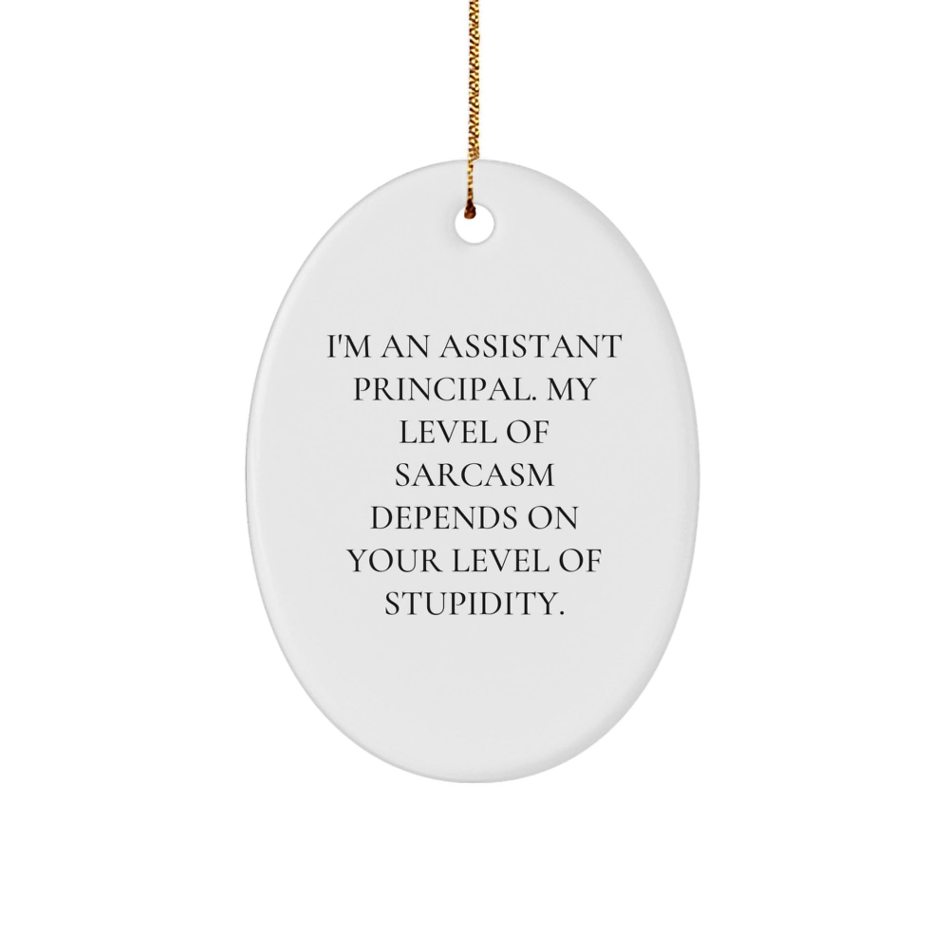 Funny Christmas Unique Gifts for Assistant Principal - 'I'm An Assistant Principal' Oval Ornament, Sarcastic, Humorous - The Buy Boom