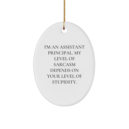 Funny Christmas Unique Gifts for Assistant Principal - 'I'm An Assistant Principal' Oval Ornament, Sarcastic, Humorous - The Buy Boom