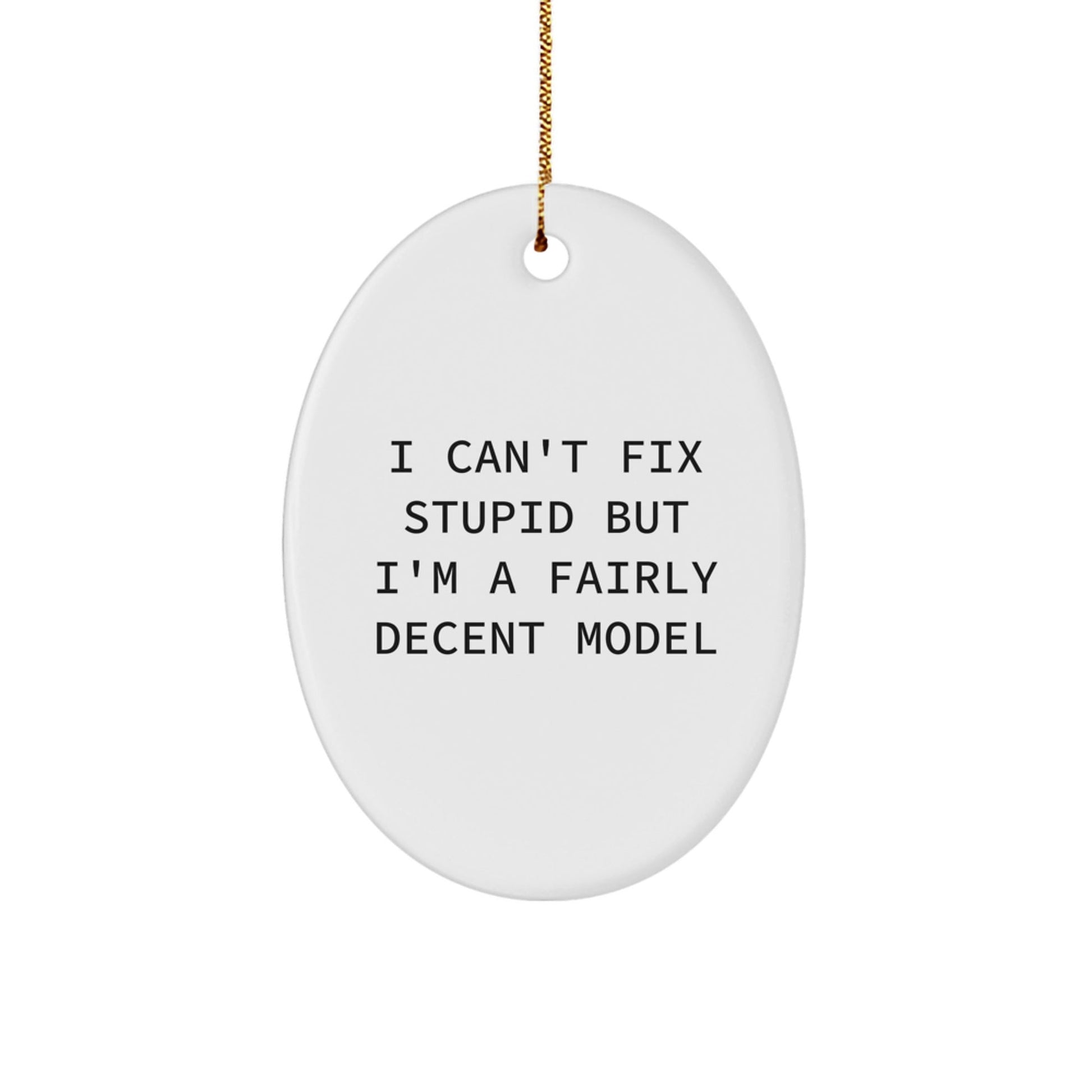 Funny Christmas Unique Gifts from Friends to Model Enthusiasts - Oval Model Ornament with I Can't Fix Stupid But I'm A Fairly Decent Model Quote - Unique Model Gifts for Men and Women - The Buy Boom