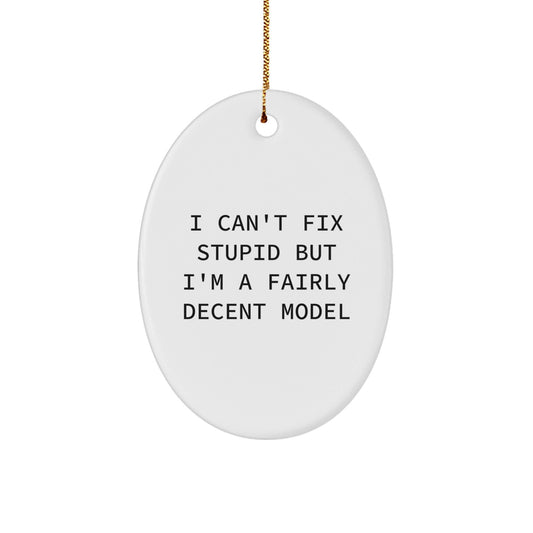 Funny Christmas Unique Gifts from Friends to Model Enthusiasts - Oval Model Ornament with I Can't Fix Stupid But I'm A Fairly Decent Model Quote - Unique Model Gifts for Men and Women - The Buy Boom