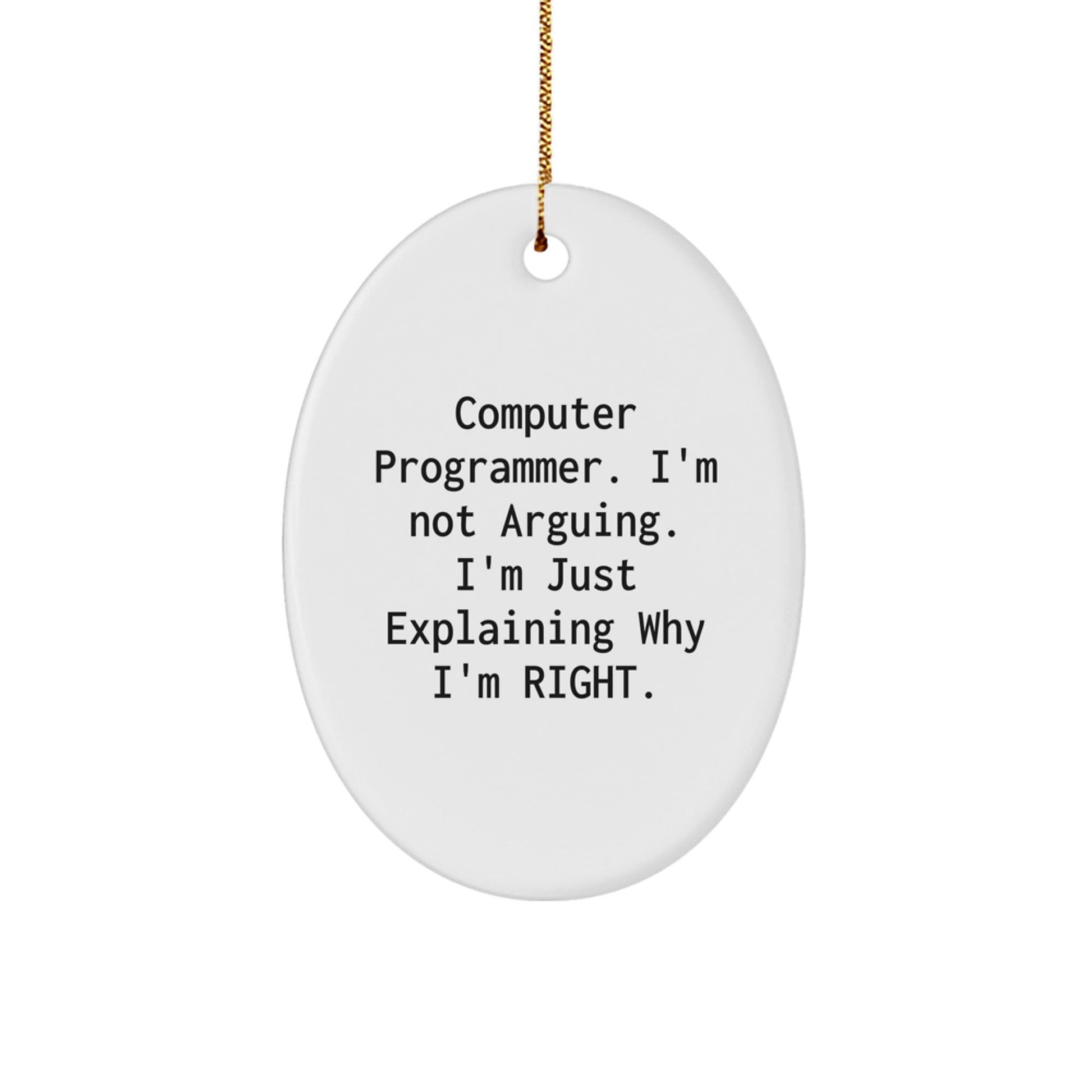 Funny Computer Programmer Gifts for Men Friends Coworkers from Family, Oval Ornament for Christmas Unique Decorations, I'm Not Arguing. I'm Just Explaining Why I'm Right. - The Buy Boom