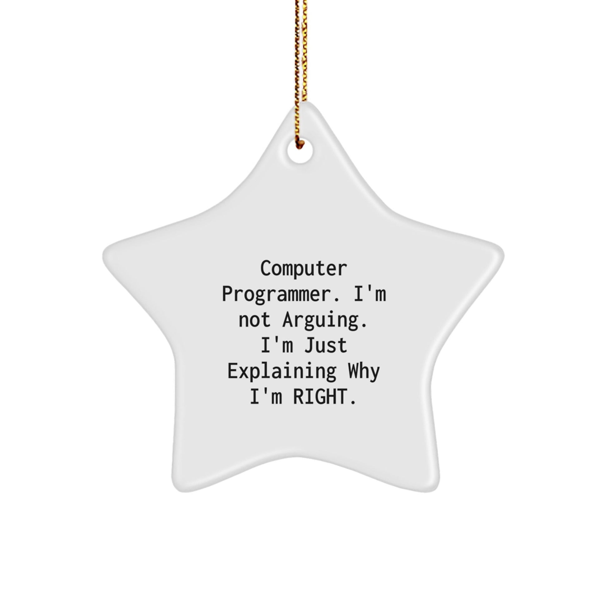 Funny Computer Programmer Gifts for Men, Star Ornament with 'I'm Not Arguing. I'm Just Explaining Why I'm Right.' Quote, Christmas Unique Gifts from Friends to Coworkers - The Buy Boom