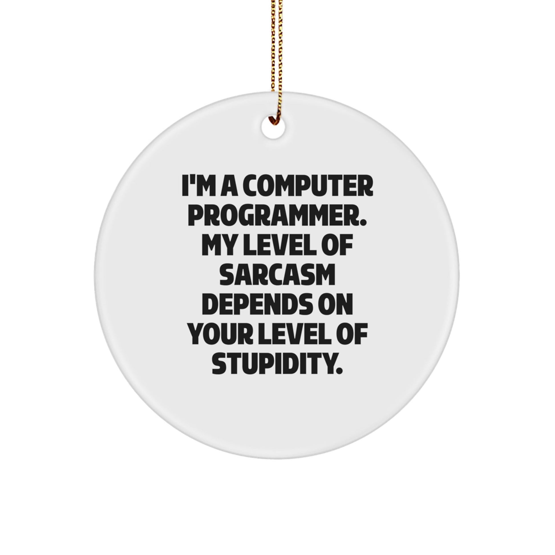 Funny Computer Programmer Gifts from Friends, Sarcasm Circle Ornament for Men, Unique Christmas Memorable Presents - The Buy Boom