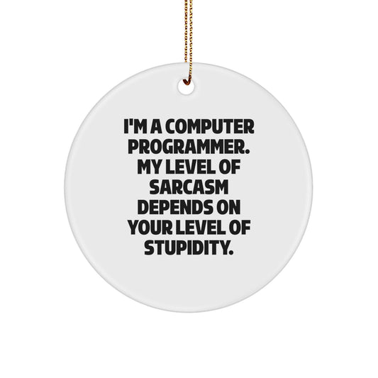 Funny Computer Programmer Gifts from Friends, Sarcasm Circle Ornament for Men, Unique Christmas Memorable Presents - The Buy Boom