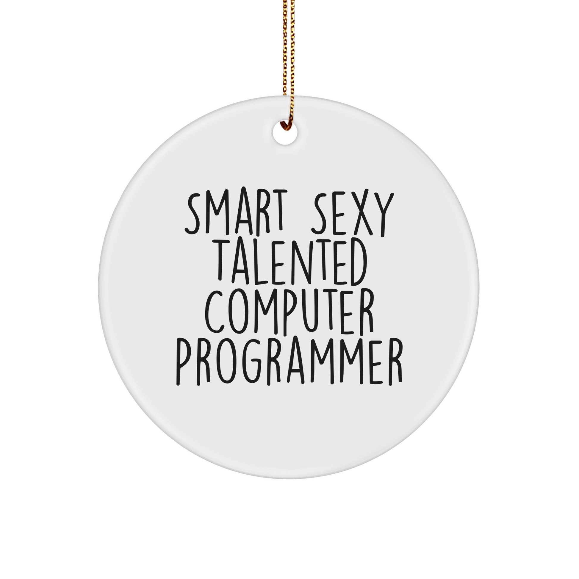 Funny Computer Programmer Gifts from Friends - 'Smart Sexy Talented' Circle Ornament for Men or Women, Perfect for Christmas - The Buy Boom