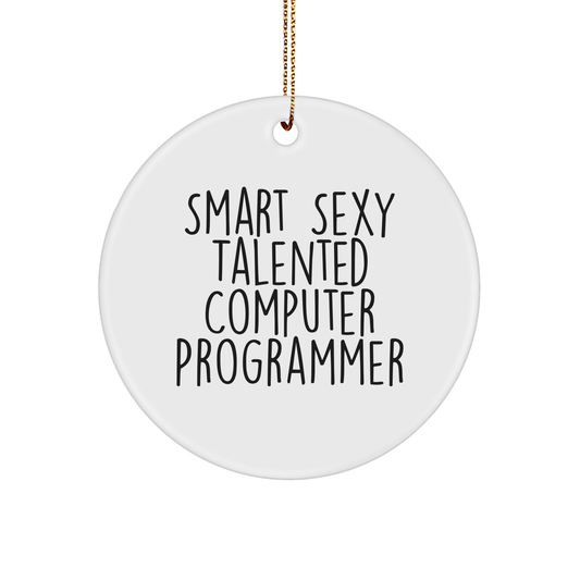 Funny Computer Programmer Gifts from Friends - 'Smart Sexy Talented' Circle Ornament for Men or Women, Perfect for Christmas - The Buy Boom