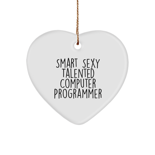 Funny Computer Programmer Gifts - Smart Sexy Talented Heart Ornament for Christmas - The Buy Boom