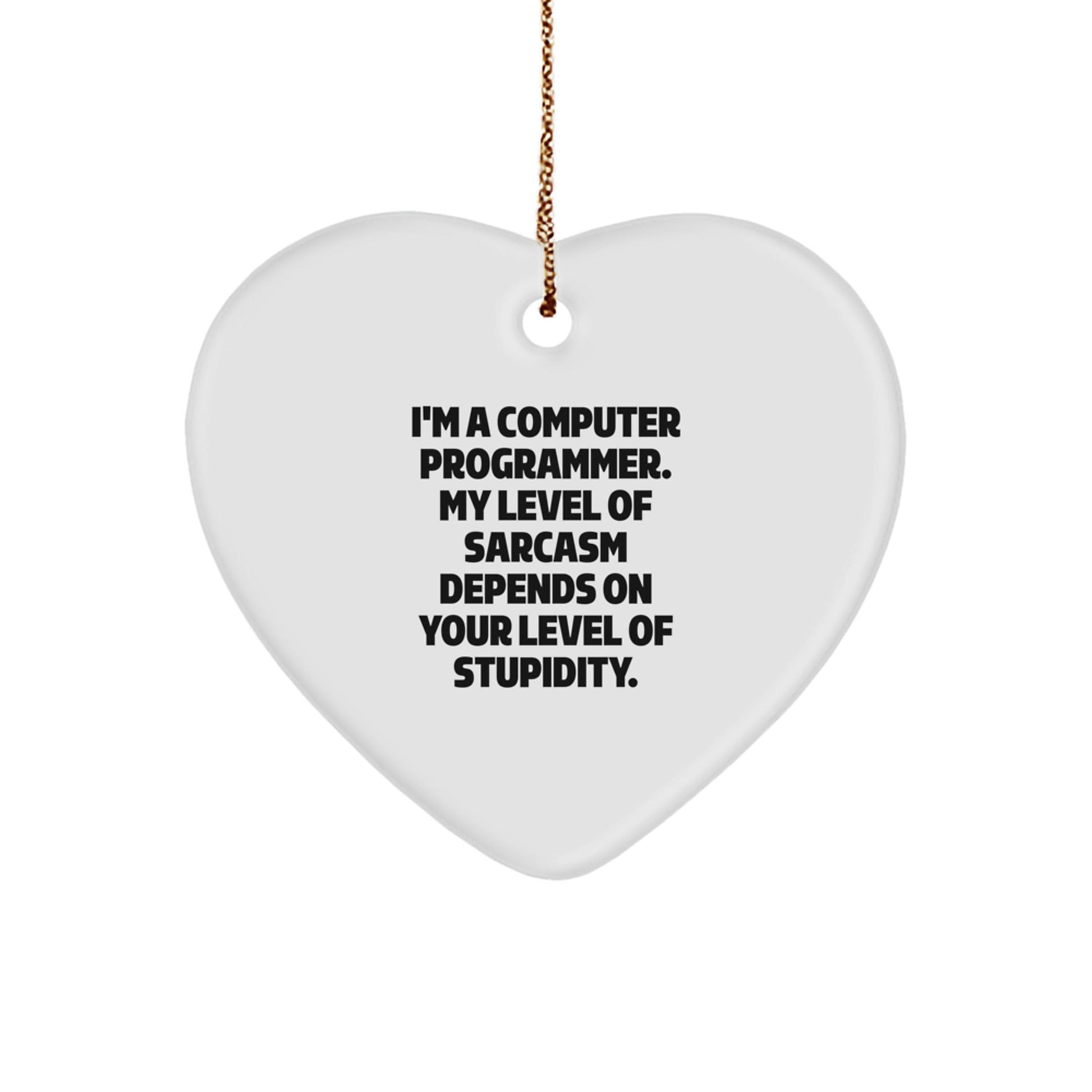 Funny Computer Programmer Heart Ornament Gifts from Friends for Christmas - Sarcasm Humor - The Buy Boom