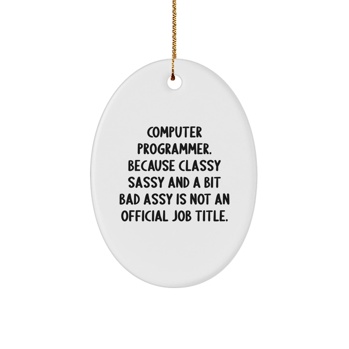 Funny Computer Programmer Oval Ornament, Gifts from Friends for Men, Unique Christmas Unique Gifts - The Buy Boom
