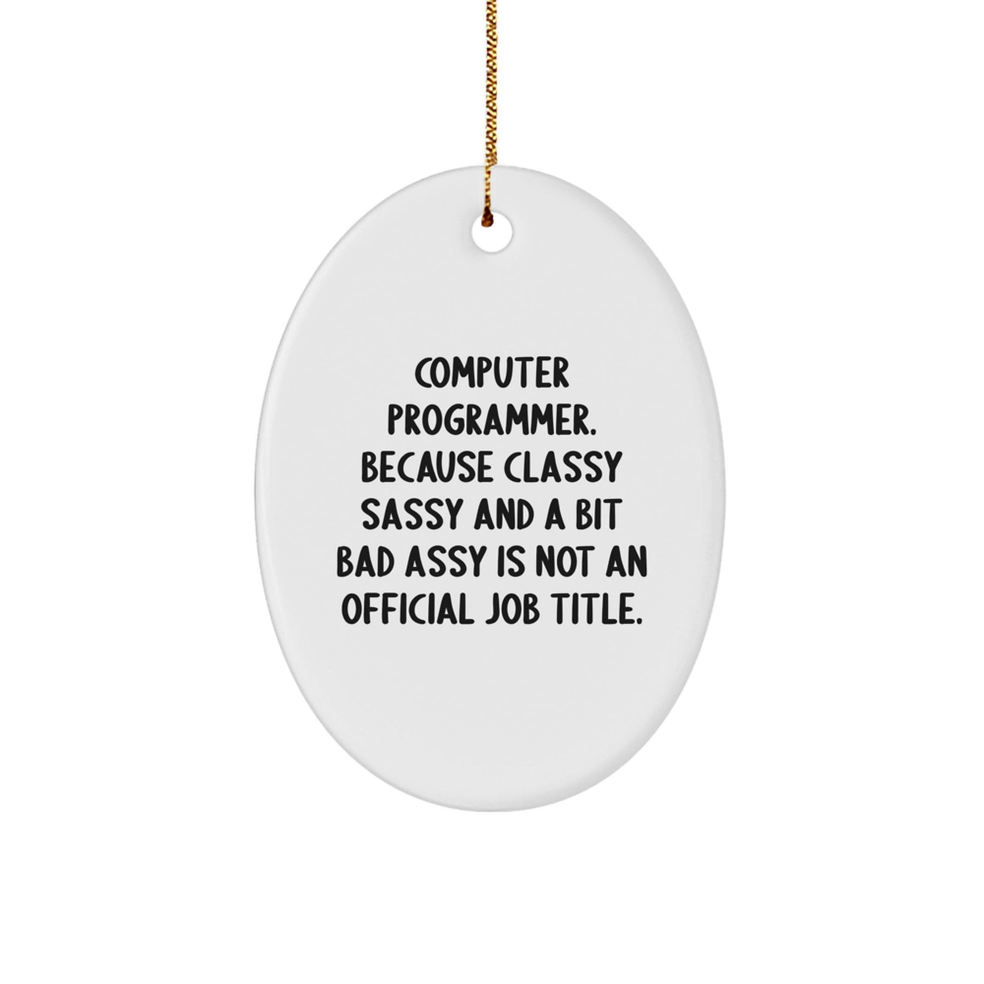 Funny Computer Programmer Oval Ornament, Gifts from Friends for Men, Unique Christmas Unique Gifts - The Buy Boom