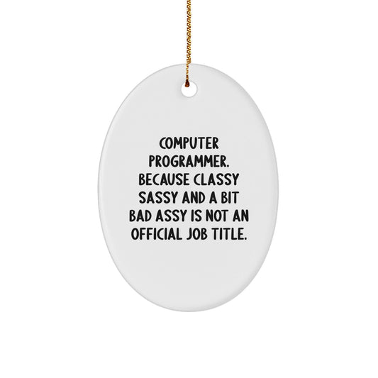 Funny Computer Programmer Oval Ornament, Gifts from Friends for Men, Unique Christmas Unique Gifts - The Buy Boom