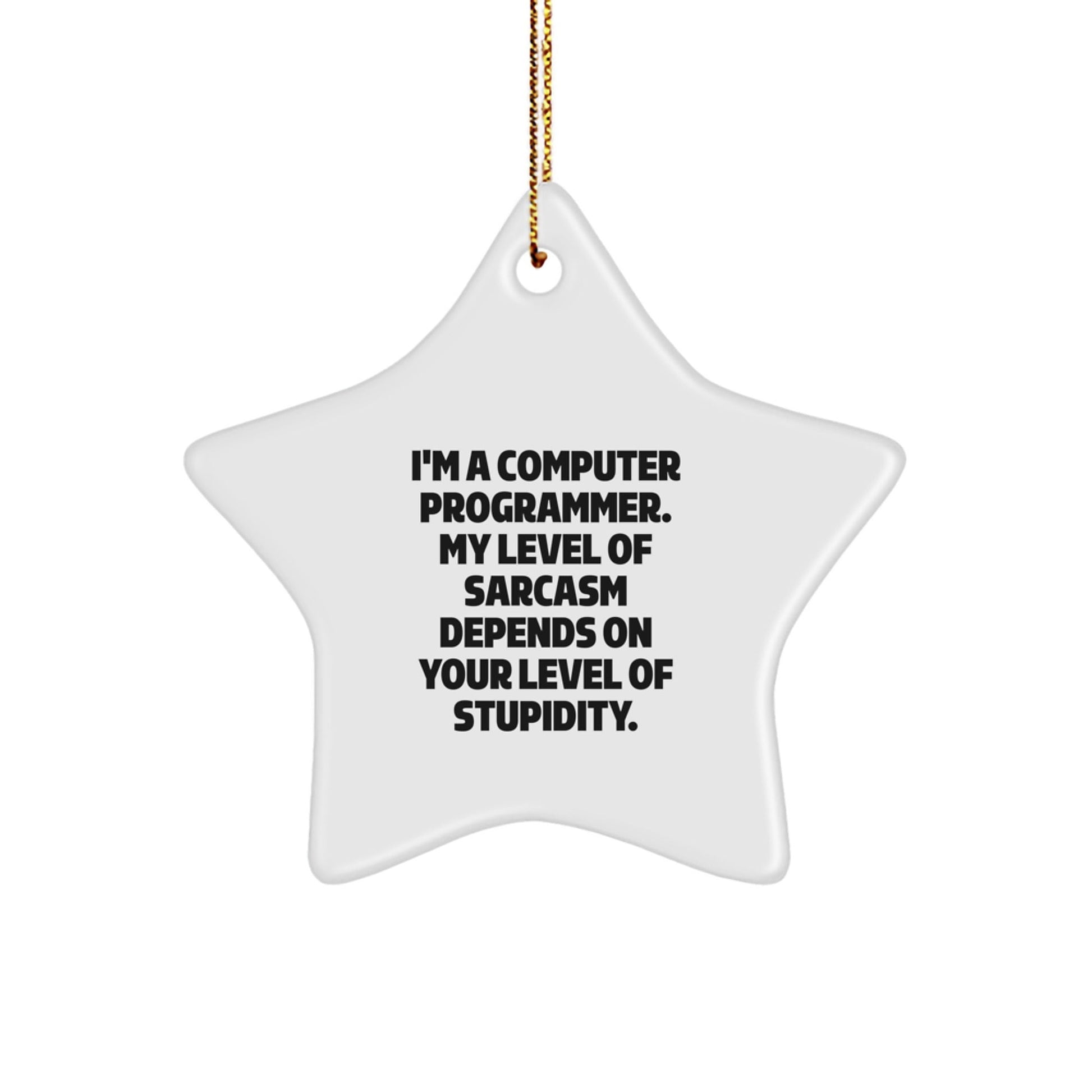 Funny Computer Programmer Star Ornament, Gifts from Friends to Computer Programmer, Unique Christmas Unique Gifts for Computer Programmer Men - The Buy Boom