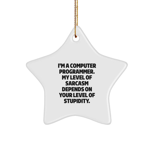 Funny Computer Programmer Star Ornament, Gifts from Friends to Computer Programmer, Unique Christmas Unique Gifts for Computer Programmer Men - The Buy Boom