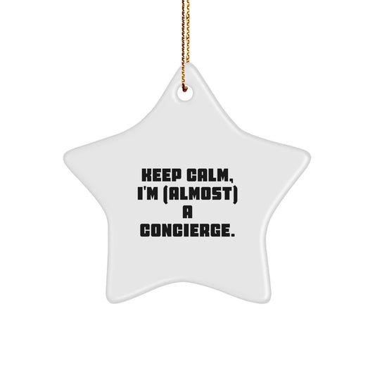 Funny Concierge Gifts from Friends, Unique Christmas Star Ornament, Keep 'I'm (almost) A Concierge' White Decorative Star, Gifts for Concierge - The Buy Boom