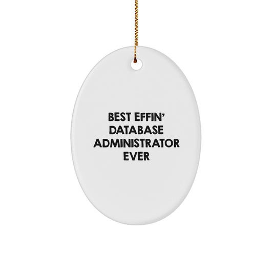 Funny Database Administrator Gifts for Men - Best Effin' Ornament, Oval Desk Decor for Coworkers, Unique Christmas Unique Gifts from Friends - The Buy Boom