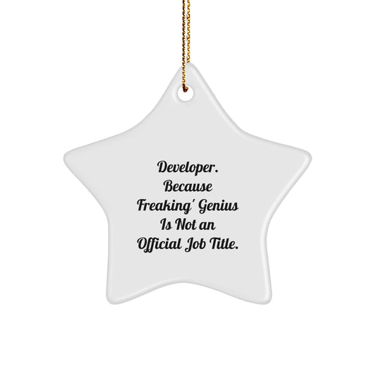 Funny Developer Gifts, Because Freaking' genius Is Not An Official Job Title, Star Ornament for Developer, Christmas Unique Gifts from Friends to Men, Women, Coworkers, Family - The Buy Boom