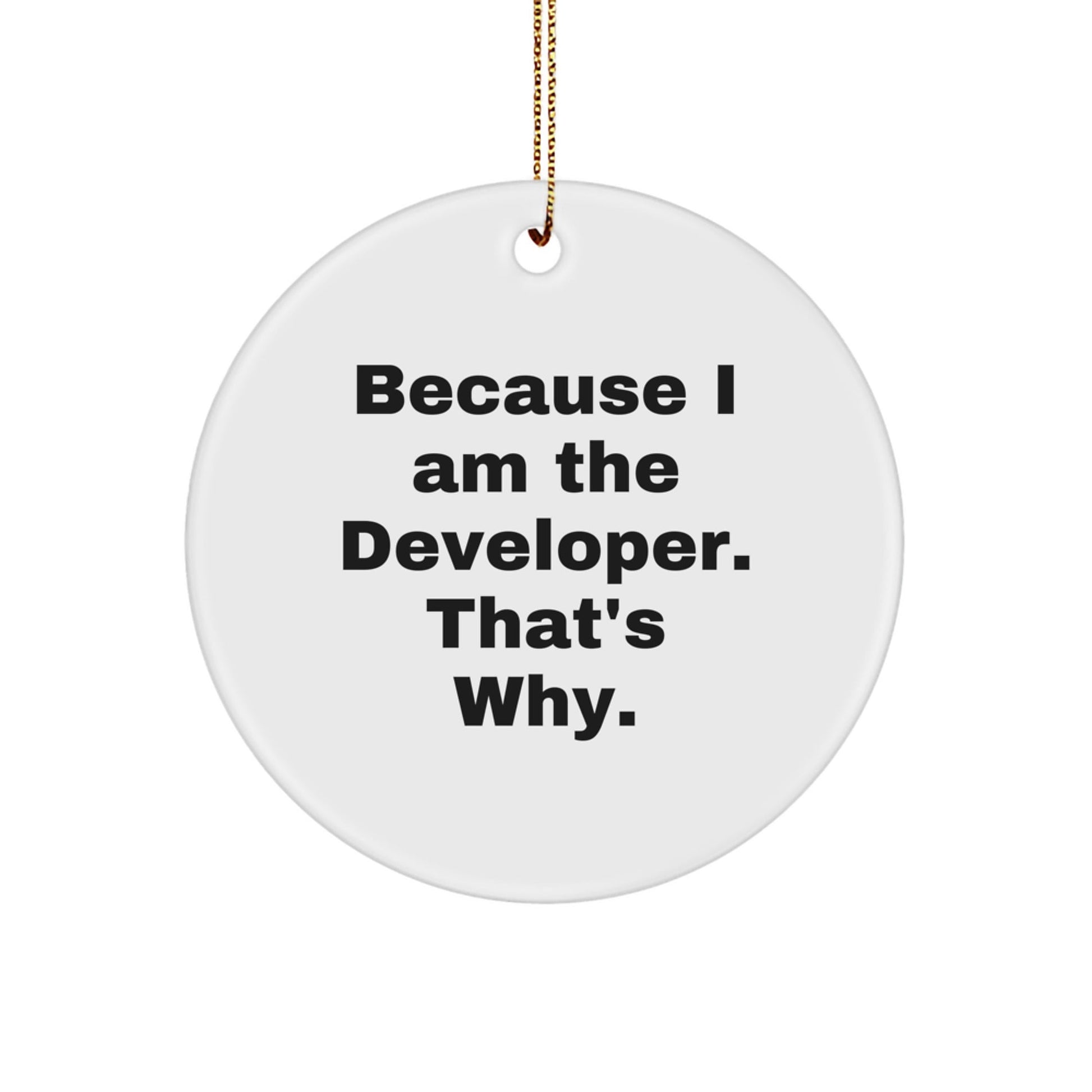 Funny Developer Gifts for Christmas, Circle Ornament with Because I Am The Developer That's Why, Perfect for Men, Women, Friends, Coworkers, Family - The Buy Boom