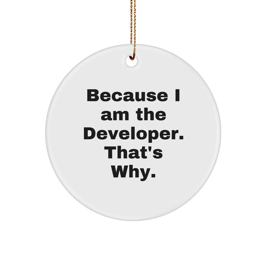 Funny Developer Gifts for Christmas, Circle Ornament with Because I Am The Developer That's Why, Perfect for Men, Women, Friends, Coworkers, Family - The Buy Boom