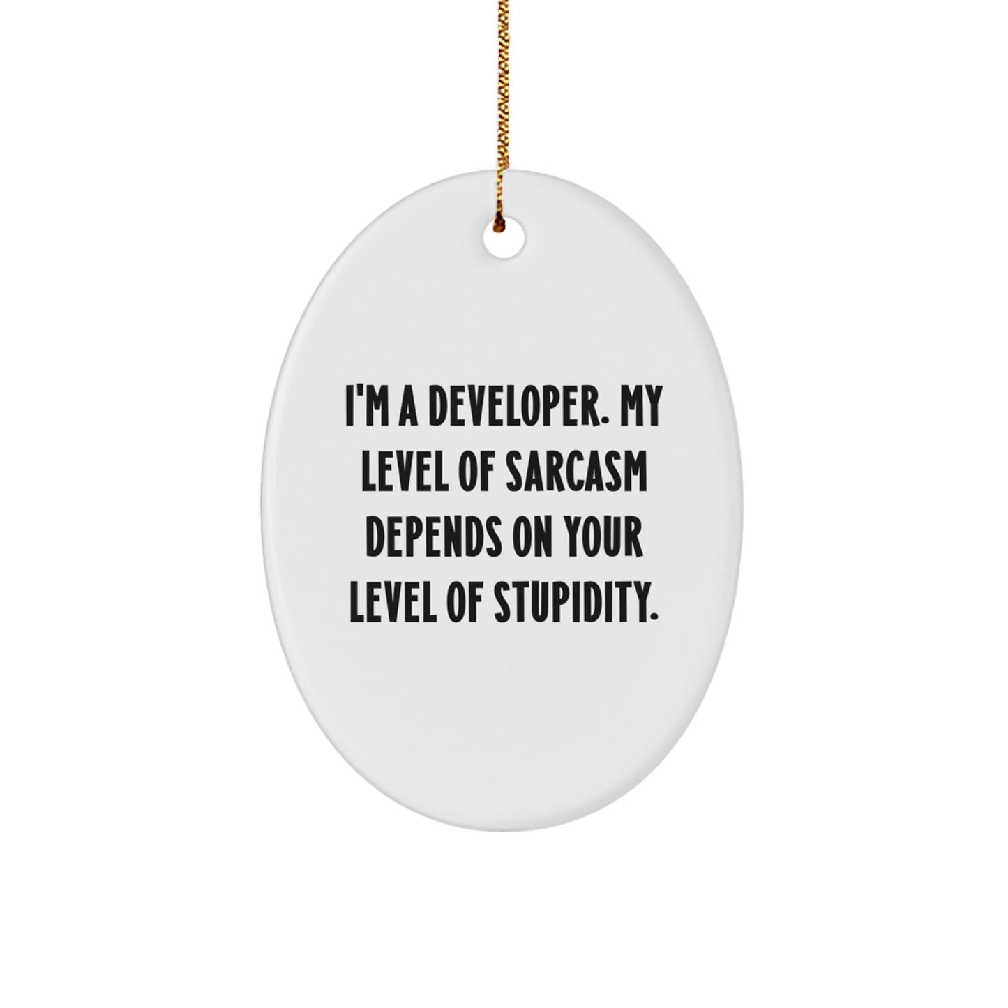 Funny Developer Gifts for Him, Oval Ornament with 'I'm A Developer. My Level Of Sarcasm Depends On Your Level Of Stupidity.' Quote, Christmas Unique - The Buy Boom