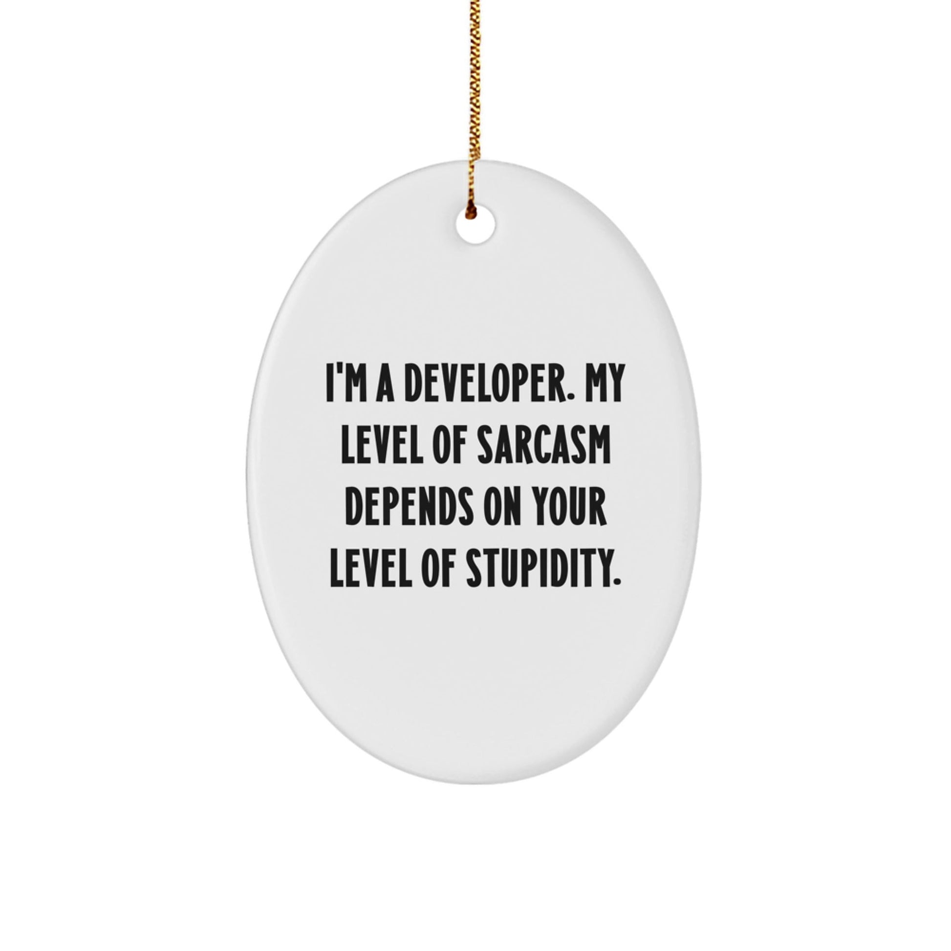 Funny Developer Gifts for Him, Oval Ornament with 'I'm A Developer. My Level Of Sarcasm Depends On Your Level Of Stupidity.' Quote, Christmas Unique - The Buy Boom