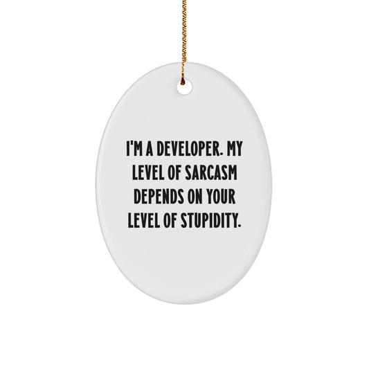 Funny Developer Gifts for Him, Oval Ornament with 'I'm A Developer. My Level Of Sarcasm Depends On Your Level Of Stupidity.' Quote, Christmas Unique - The Buy Boom