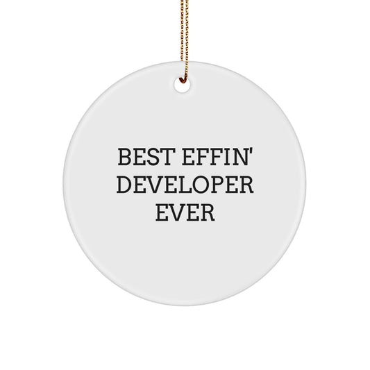 Funny Developer Gifts from Friends, Best Effin' Developer Ever Circle Ornament for Christmas Unique Gifts, Developer Humor Ornaments - The Buy Boom