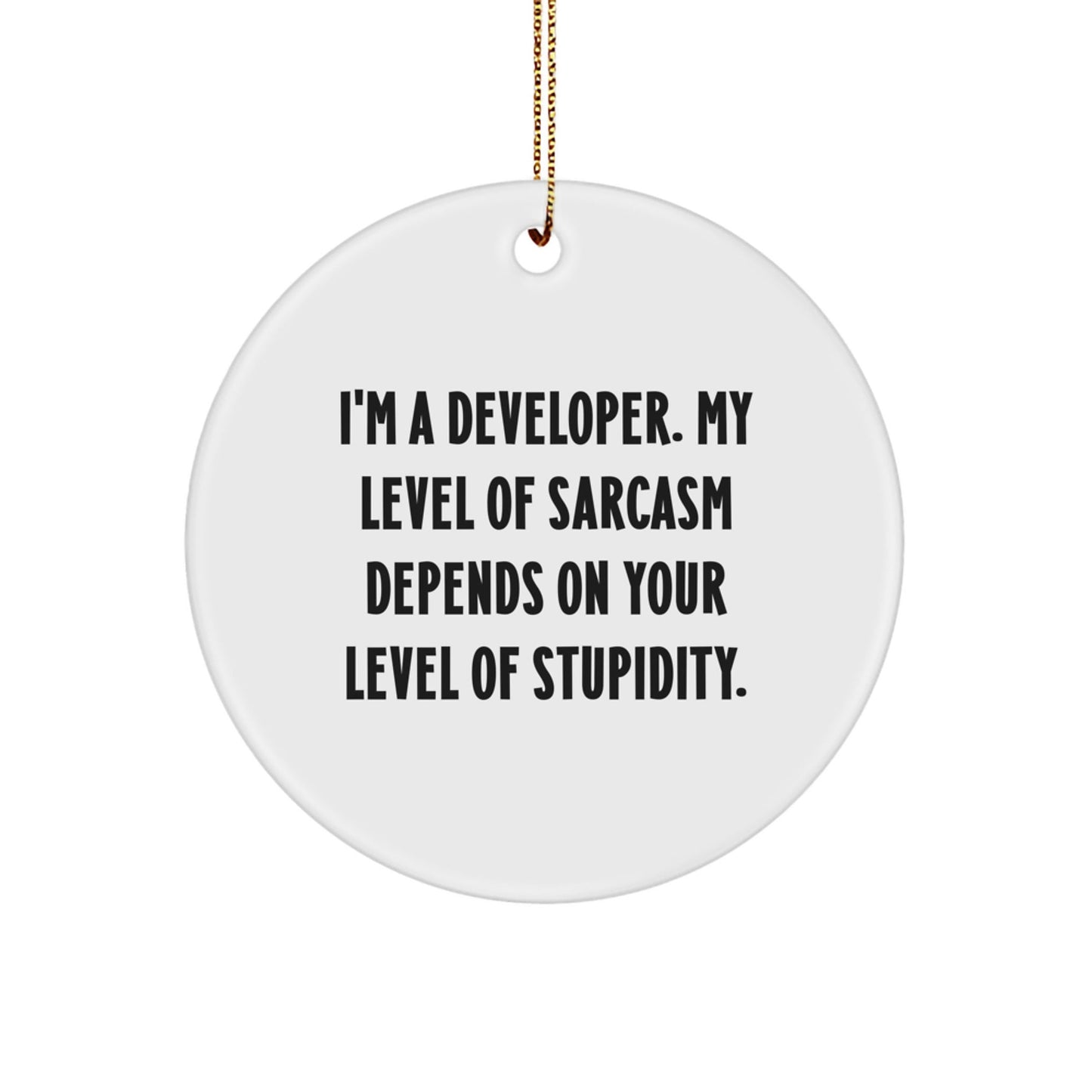 Funny Developer Gifts from Friends, Christmas Unique Circle Ornament for Men, Women, Coworkers, or Family Members with Sarcasm Humor - The Buy Boom