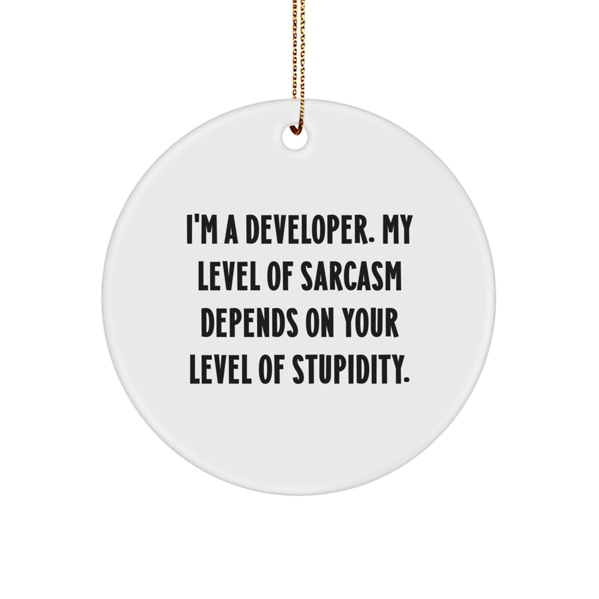 Funny Developer Gifts from Friends, Christmas Unique Circle Ornament for Men, Women, Coworkers, or Family Members with Sarcasm Humor - The Buy Boom