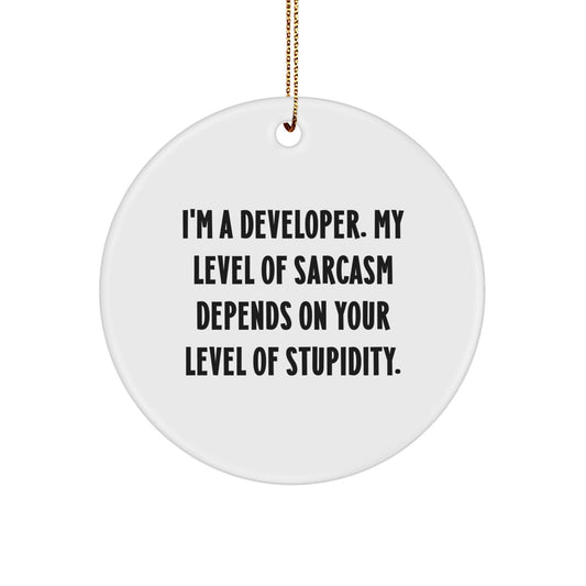 Funny Developer Gifts from Friends, Christmas Unique Circle Ornament for Men, Women, Coworkers, or Family Members with Sarcasm Humor - The Buy Boom