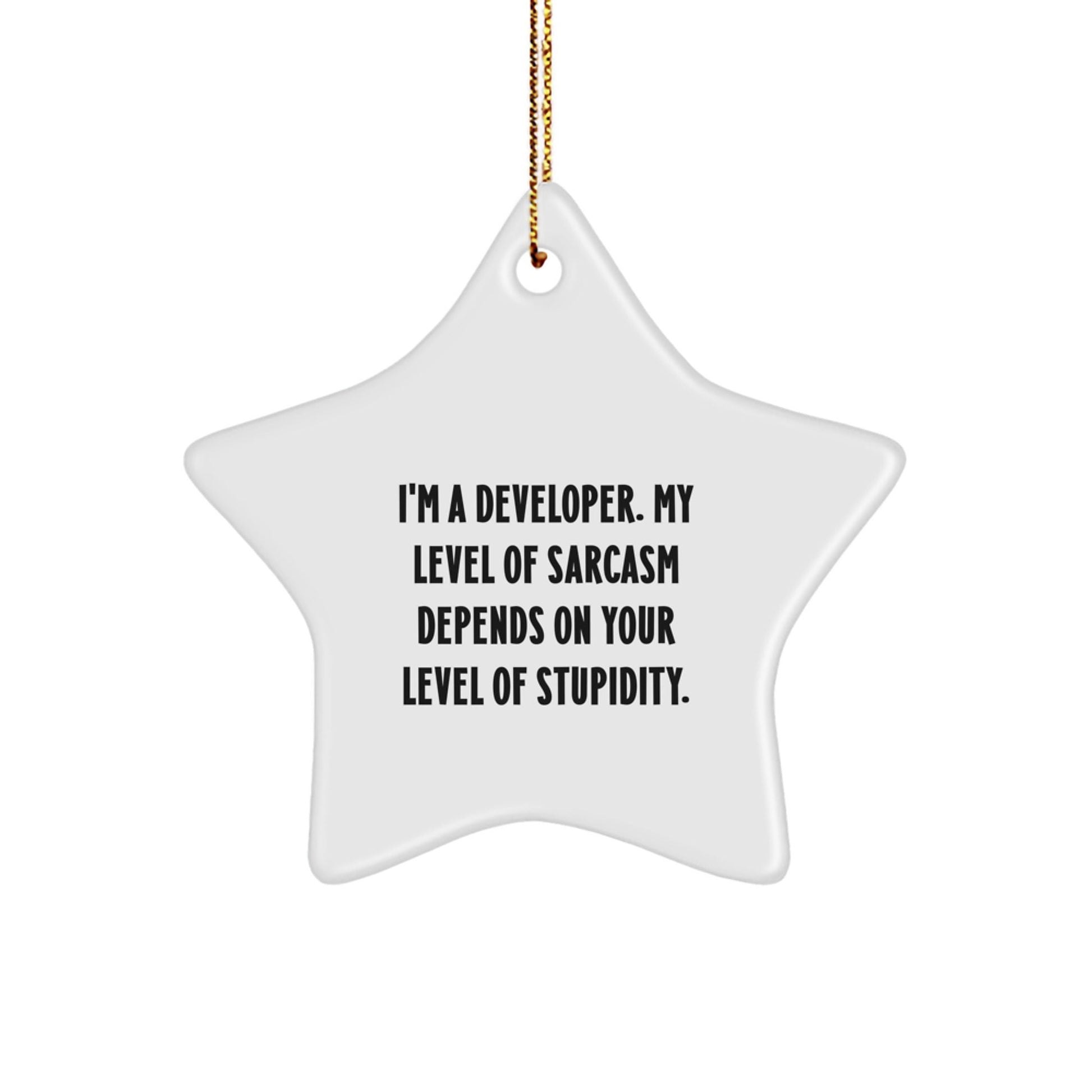 Funny Developer Gifts from Friends - Christmas Unique Star Ornament, I'm A Developer Sarcasm Level Depends On Stupidity, Star Shaped Decor - The Buy Boom