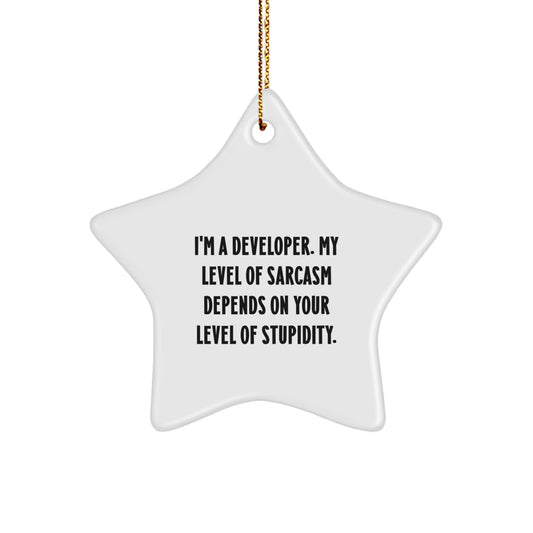 Funny Developer Gifts from Friends - Christmas Unique Star Ornament, I'm A Developer Sarcasm Level Depends On Stupidity, Star Shaped Decor - The Buy Boom