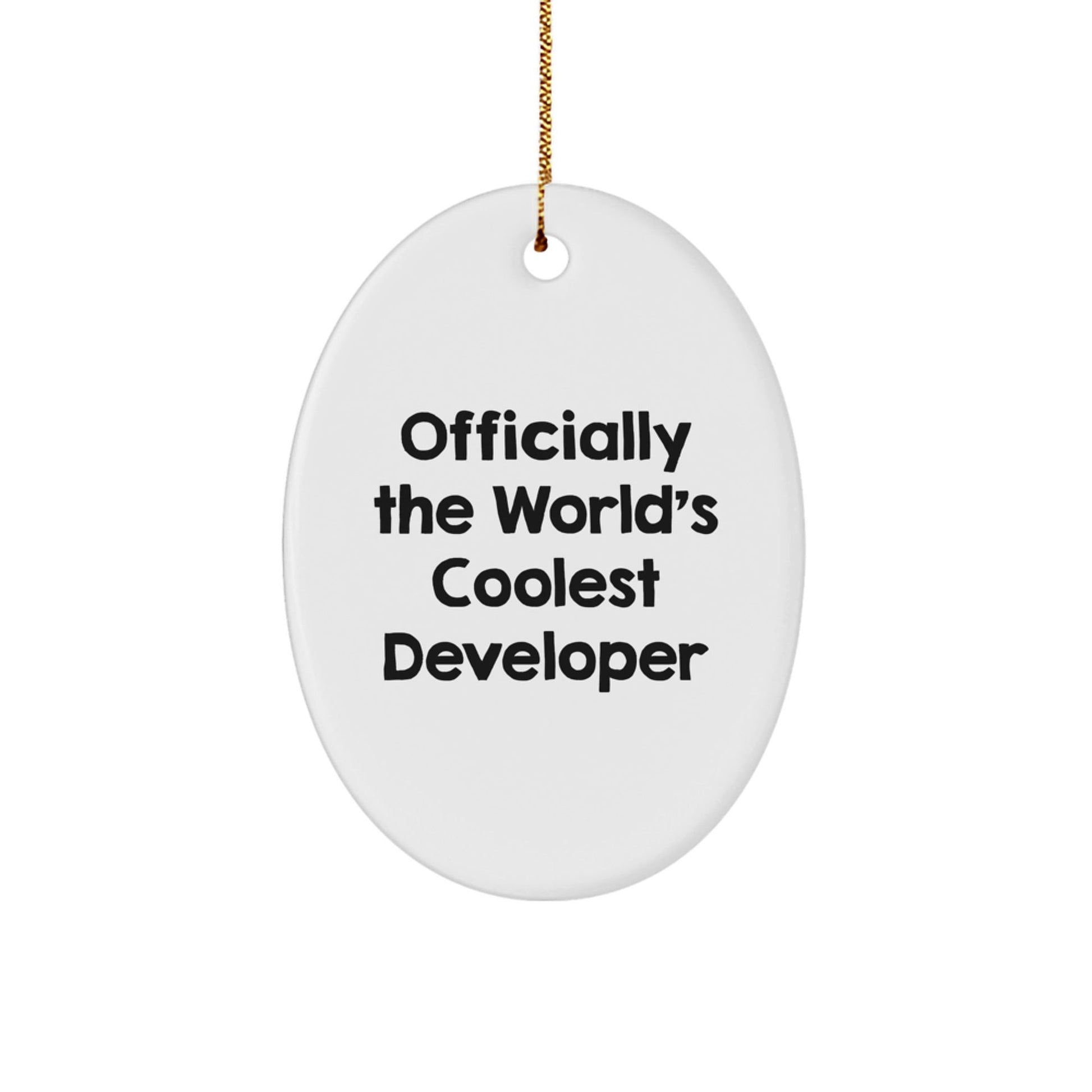 Funny Developer Gifts, Oval Ornament Quote 'Officially The World's Coolest', Gifts from Men to Colleagues, Unique Christmas Unique Gifts for Developer - The Buy Boom