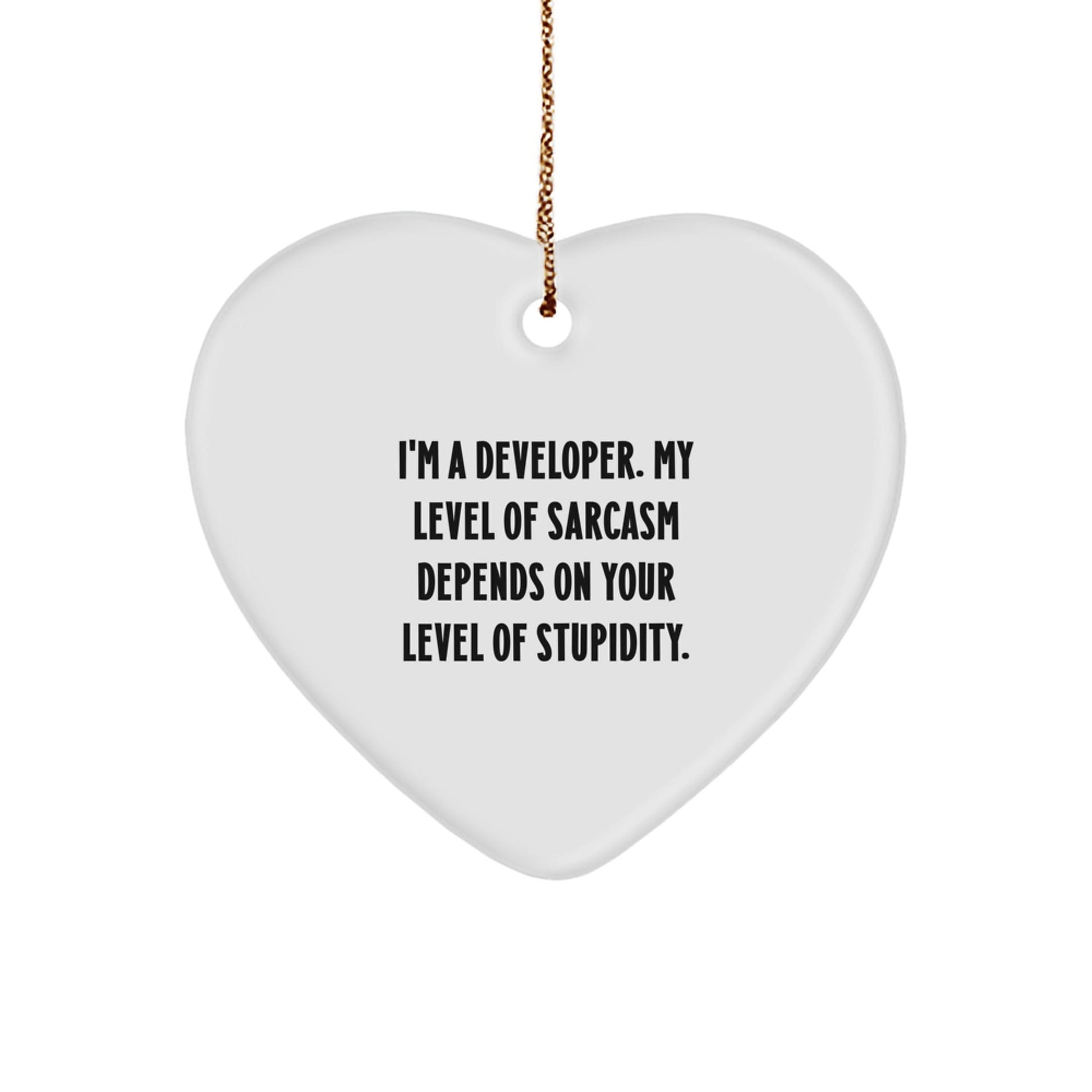 Funny Developer Heart Ornament Gifts from Friends for Christmas, Heart Ornament with Sarcasm Quote, Unique Developer Gifts for Men - The Buy Boom