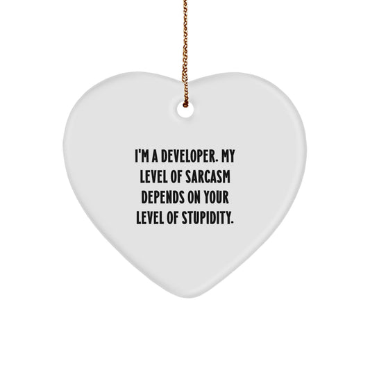 Funny Developer Heart Ornament Gifts from Friends for Christmas, Heart Ornament with Sarcasm Quote, Unique Developer Gifts for Men - The Buy Boom