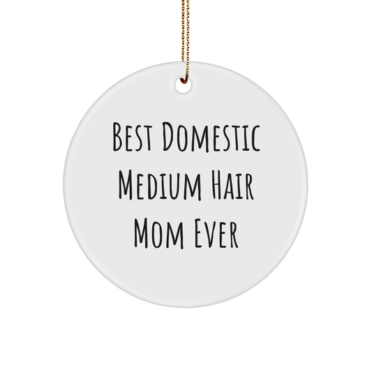 Funny Domestic Medium Hair Cat Mom Gifts from Family for Christmas Unique Ornaments - The Buy Boom