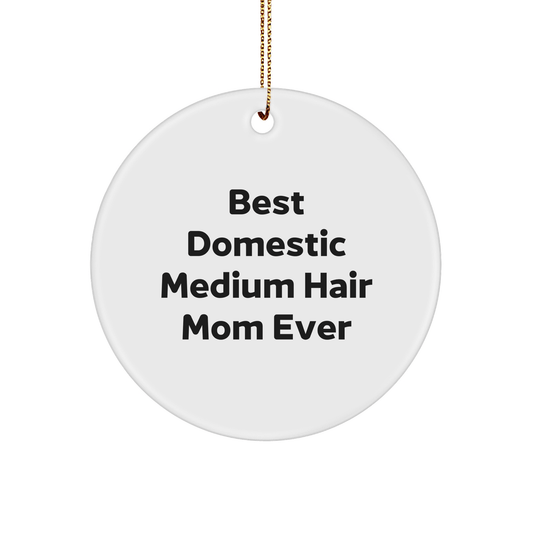 Funny Domestic Medium Hair Cat Mom Gifts from Friends, for Christmas Unique Circle Ornament - The Buy Boom