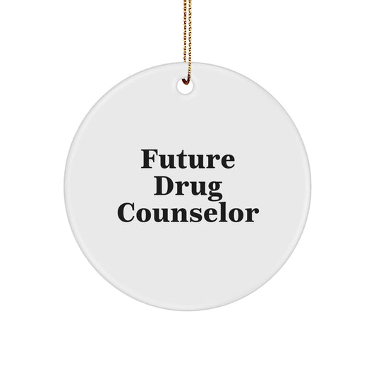 Funny Drug Counselor Gifts from Family, Inspirational Circle Ornament for Future Drug Counselor, Christmas Unique Gifts for Drug Counselor - The Buy Boom