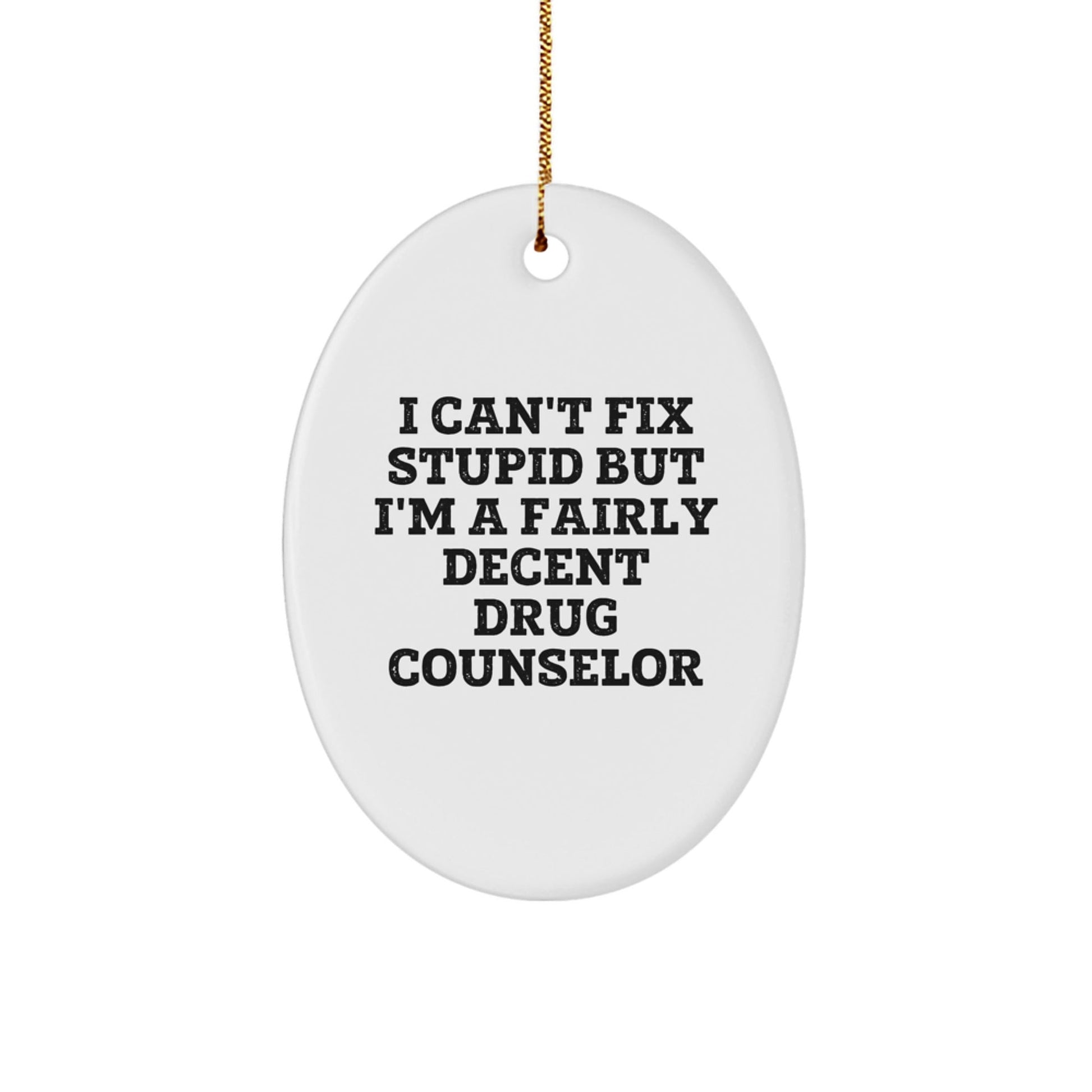 Funny Drug Counselor Gifts from Friends for Drug Counselor Men - Oval Ornament I Can't Fix Stupid But I'm A Fairly Decent - Christmas Unique Decoration - The Buy Boom