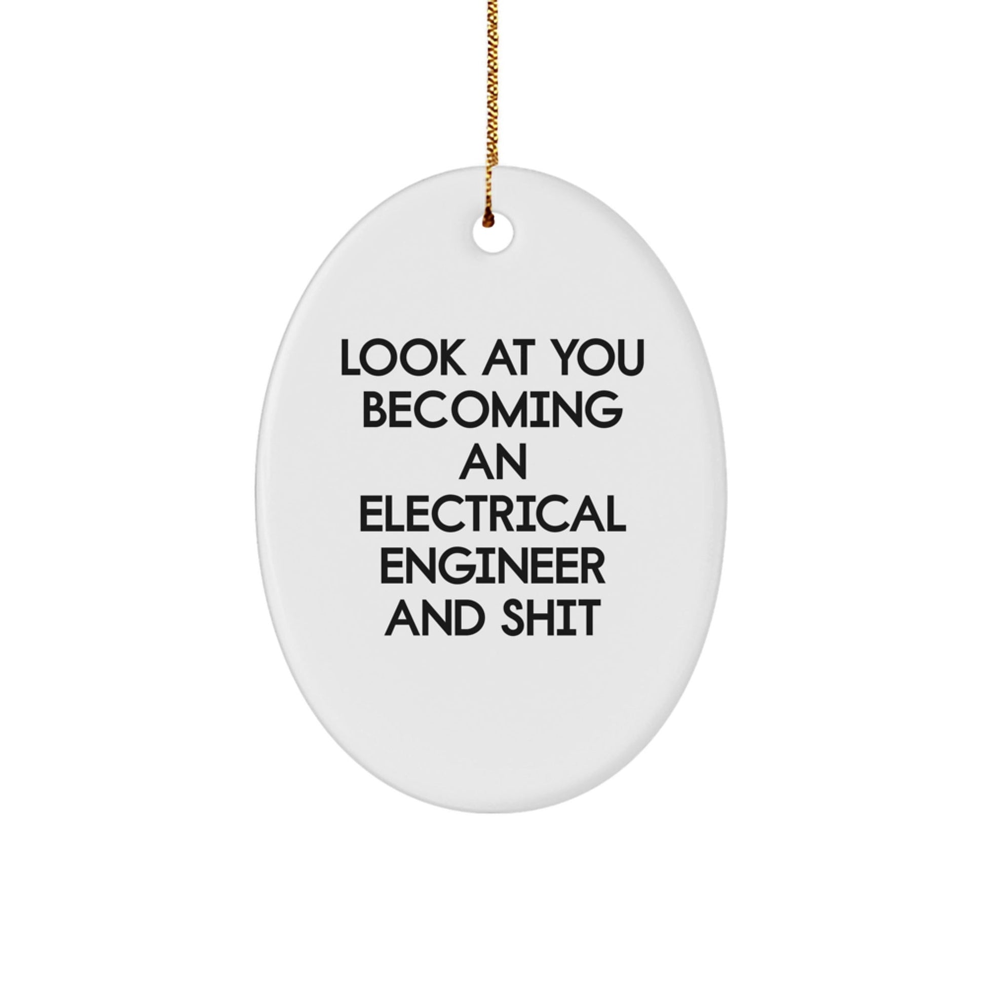 Funny Electrical Engineer Gifts from Friends - Oval Ornament for Engineers, Unique Christmas Decoration, Look At You Becoming An Electrical Engineer And Shit, White Oval Shaped Decor - The Buy Boom