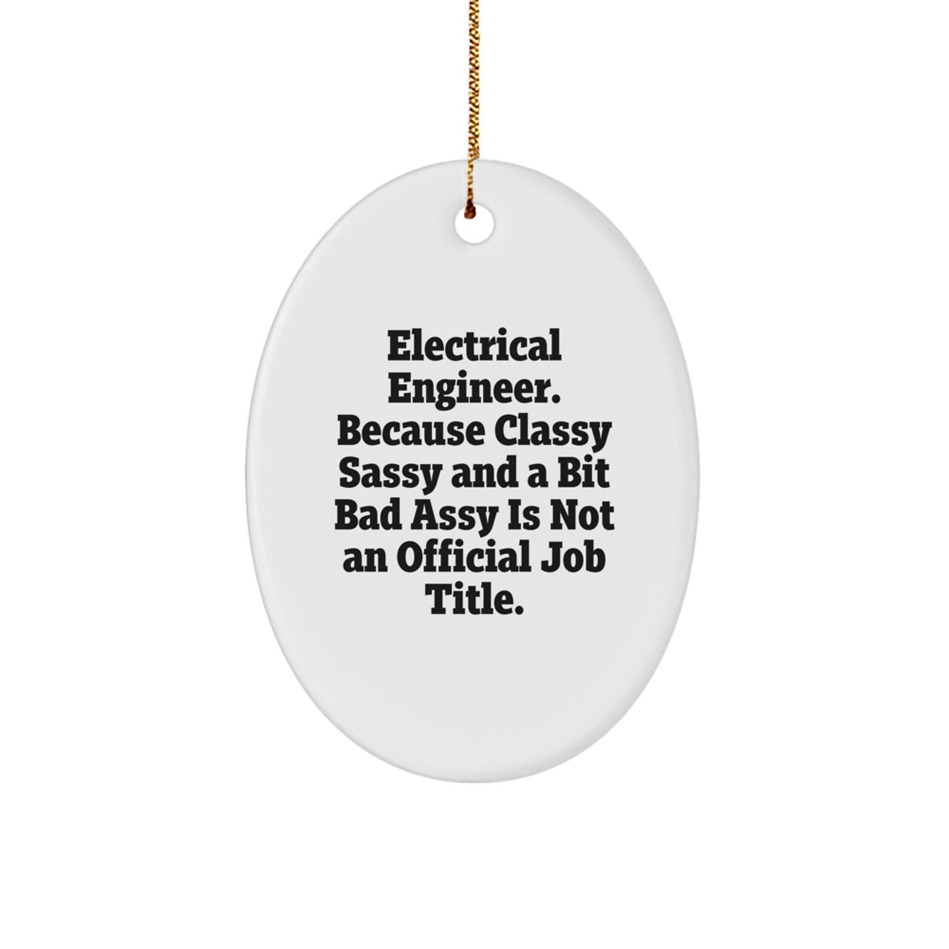 Funny Electrical Engineer Oval Ornament Gift from Friends for Electrical Engineer on Christmas Unique Gifts Day - The Buy Boom