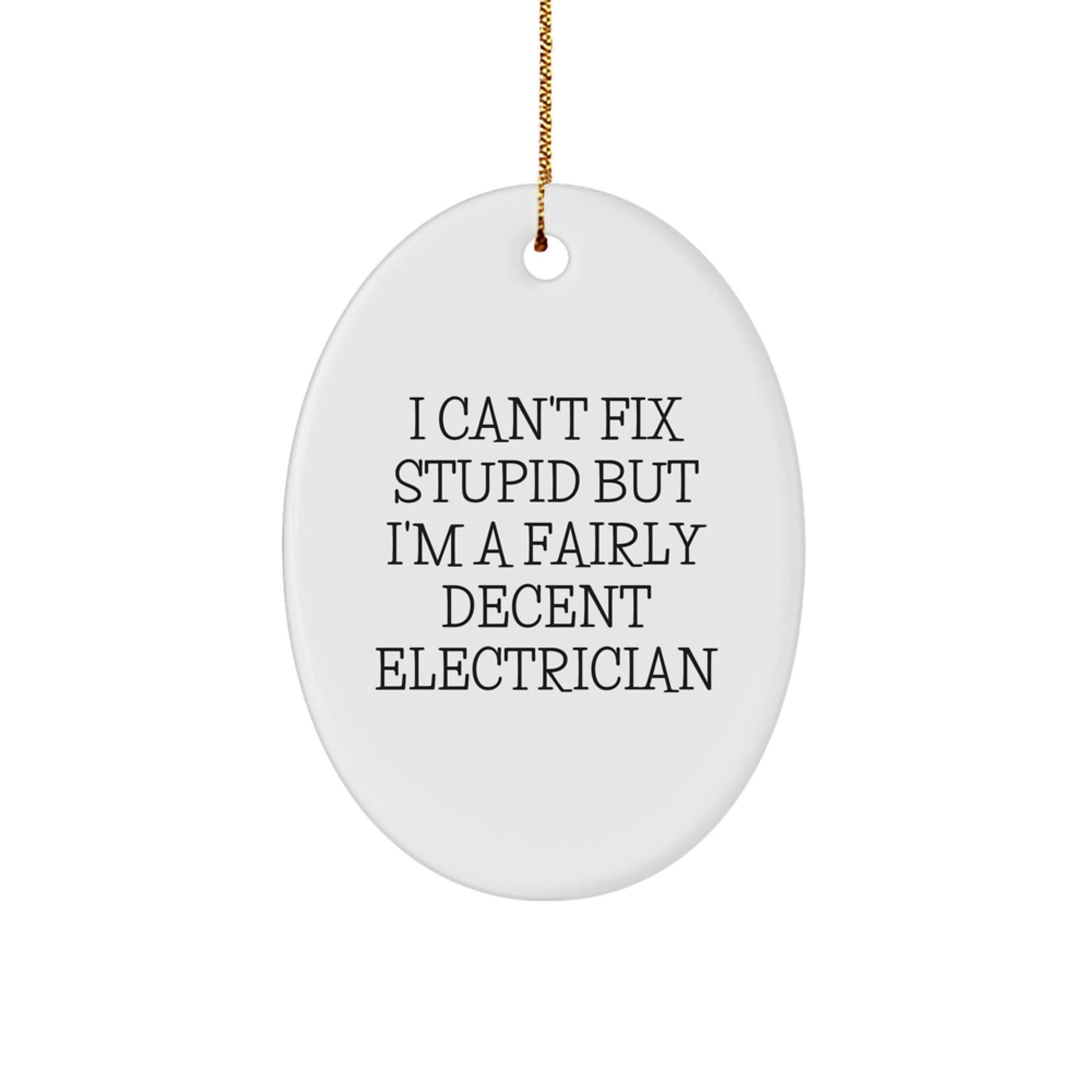 Funny Electrician Gifts for Christmas - Oval Ornament with 'I Can't Fix Stupid' Quote, Gifts from Friends to Electrician - The Buy Boom