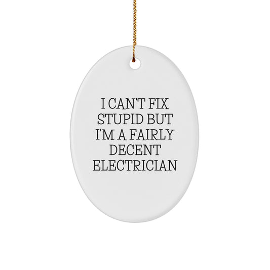 Funny Electrician Gifts for Christmas - Oval Ornament with 'I Can't Fix Stupid' Quote, Gifts from Friends to Electrician - The Buy Boom